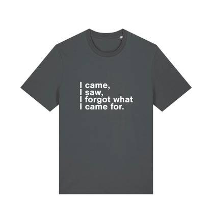 grey sarcastic t-shirt with the slogan 'i came i saw i forgot what i came for'