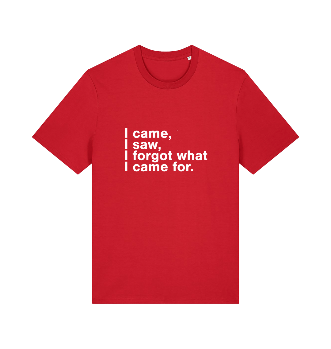 red sarcastic t-shirt with the slogan 'i came i saw i forgot what i came for'