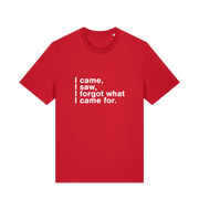 red sarcastic t-shirt with the slogan 'i came i saw i forgot what i came for'