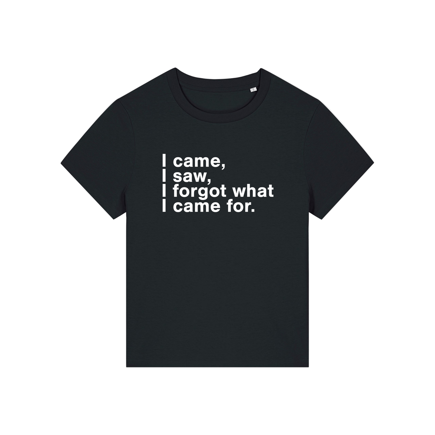 black funny slogan t-shirt that reads 'i came, i saw, i forgot what i came for'
