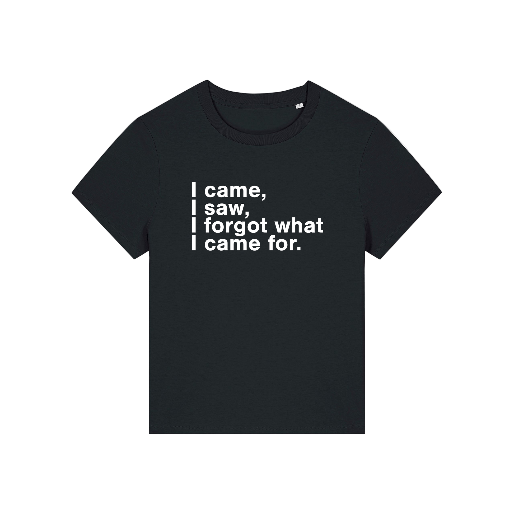 black funny slogan t-shirt that reads 'i came, i saw, i forgot what i came for'