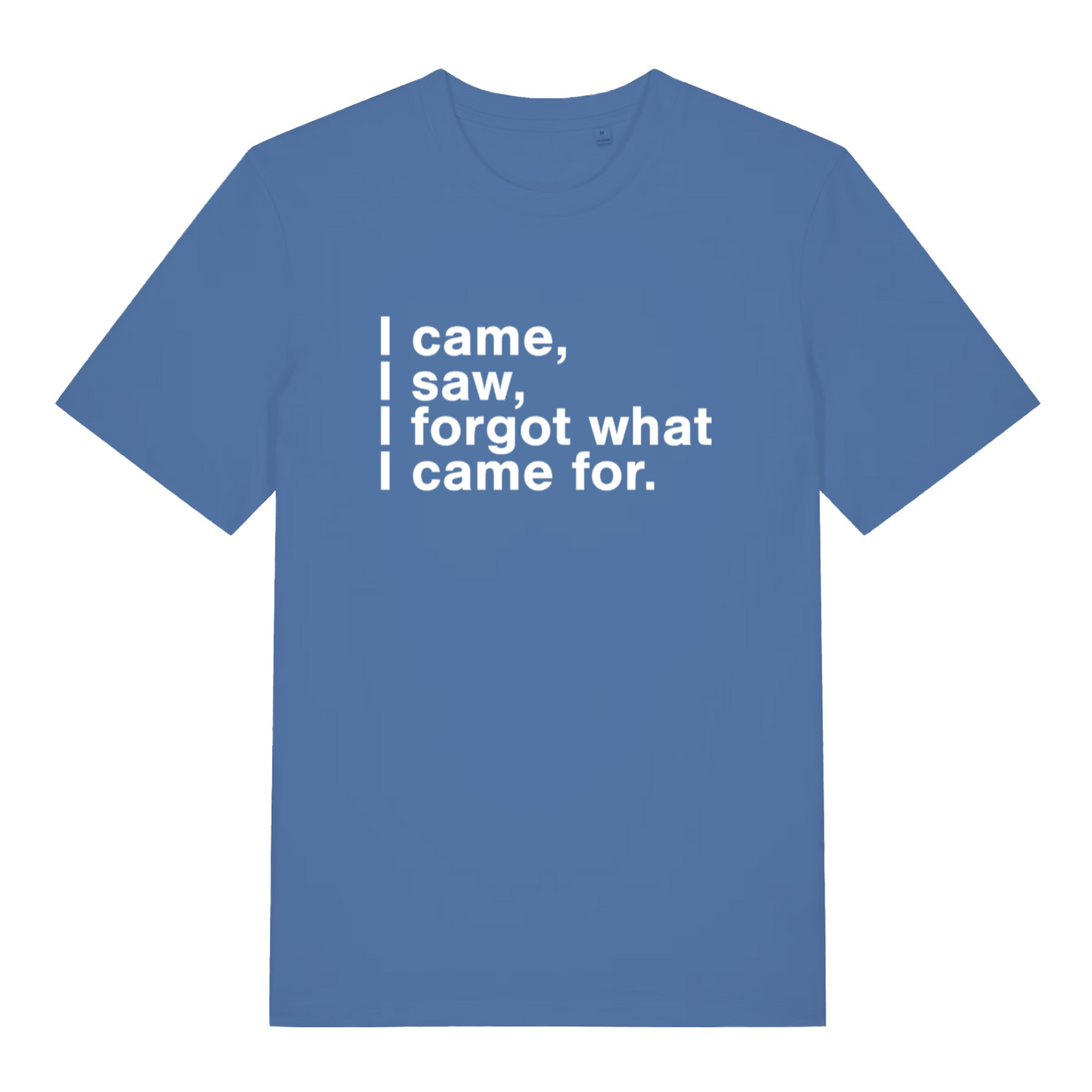 blue women's slogan t-shirt with the text 'i came i saw i forgot what i came for'