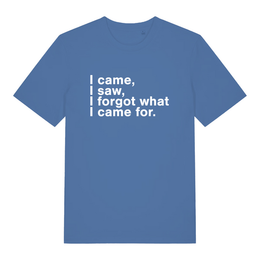 blue women's slogan t-shirt with the text 'i came i saw i forgot what i came for'