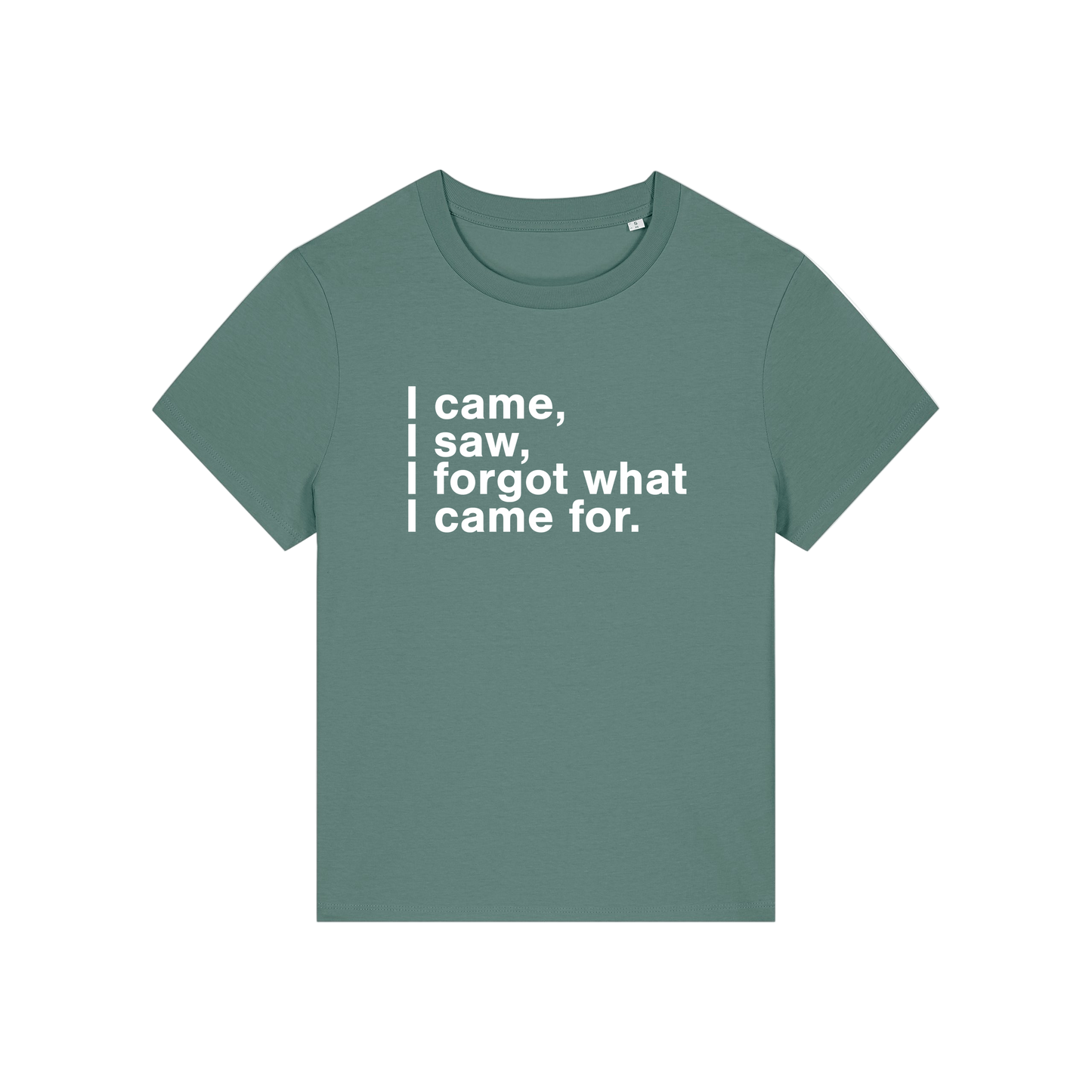 green funny slogan t-shirt that reads 'i came, i saw, i forgot what i came for'
