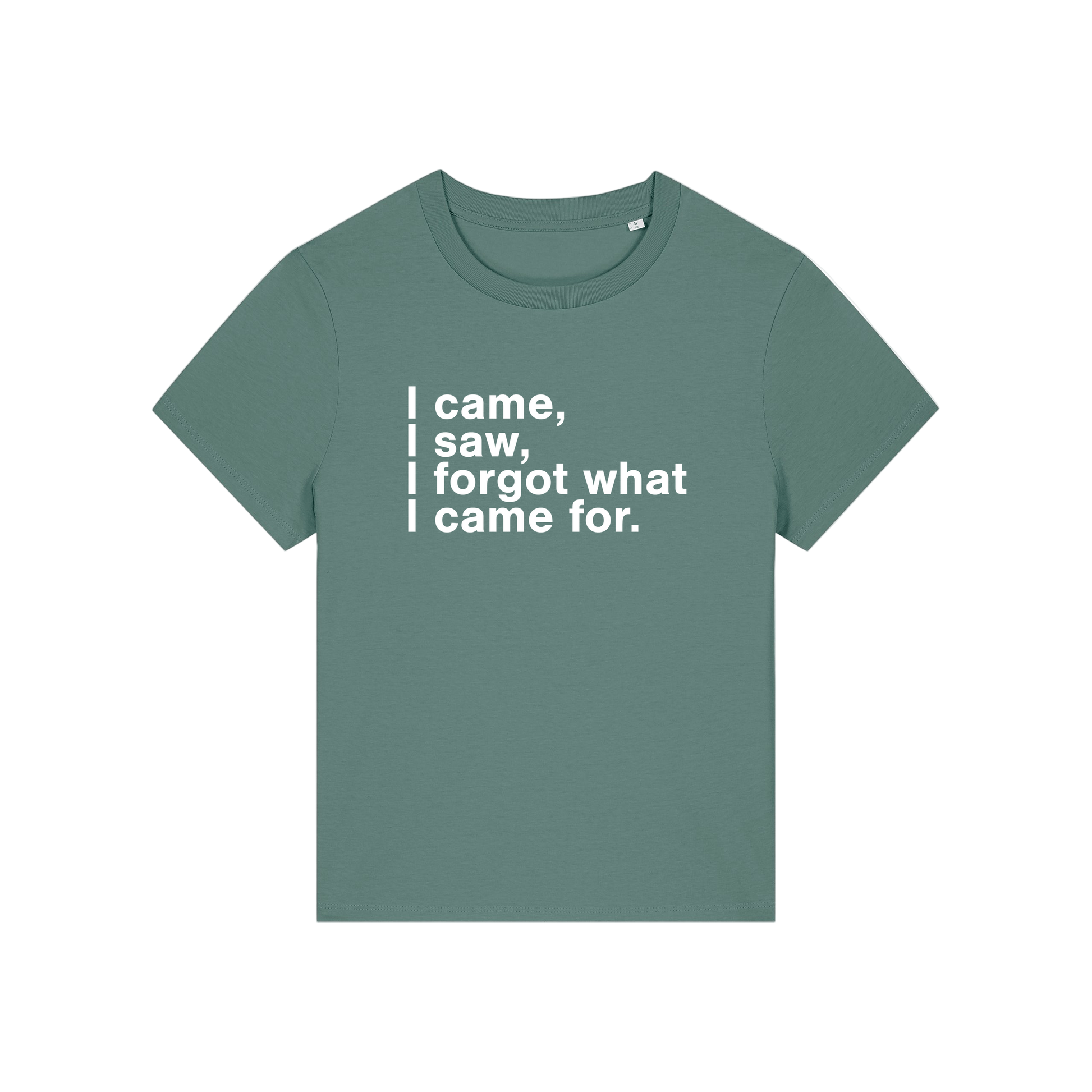 green funny slogan t-shirt that reads 'i came, i saw, i forgot what i came for'