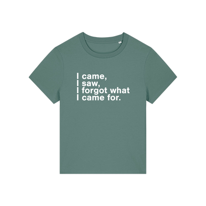 green funny slogan t-shirt that reads 'i came, i saw, i forgot what i came for'