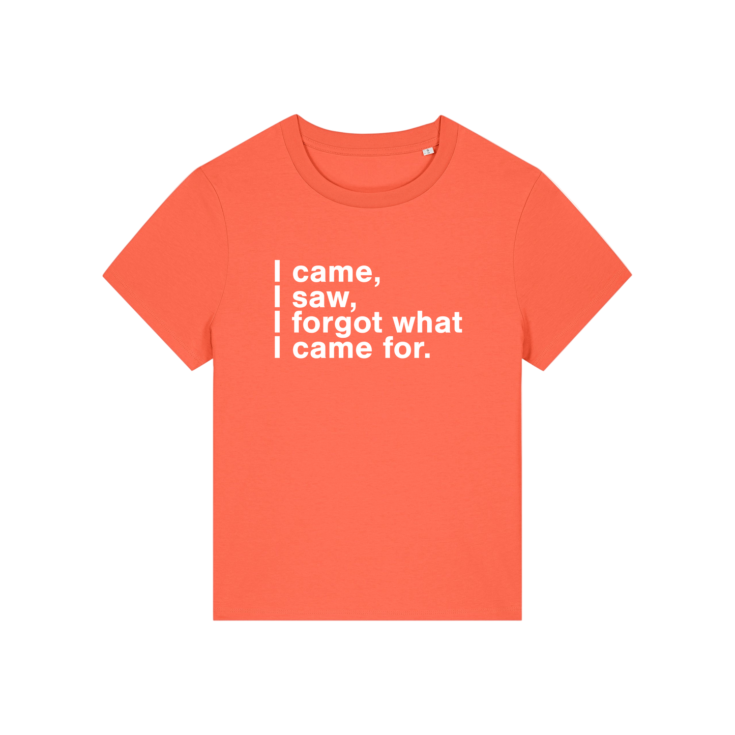 orange funny slogan t-shirt that reads 'i came, i saw, i forgot what i came for'