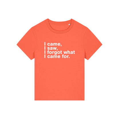 orange funny slogan t-shirt that reads 'i came, i saw, i forgot what i came for'