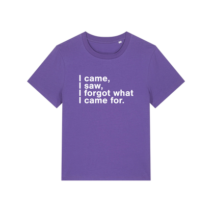 purple funny slogan t-shirt that reads 'i came, i saw, i forgot what i came for'