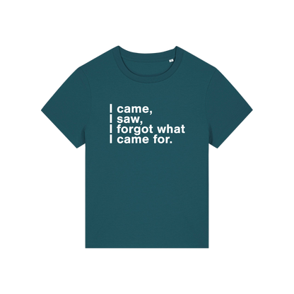 teal funny slogan t-shirt that reads 'i came, i saw, i forgot what i came for'