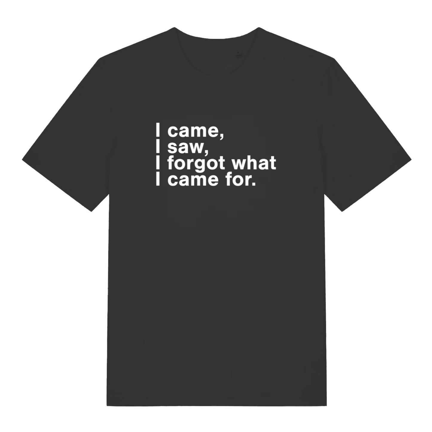 black funny slogan t-shirt with the text 'i came, i saw, i forgot what i came for'