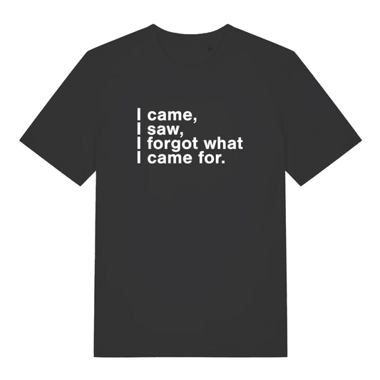 black funny slogan t-shirt with the text 'i came, i saw, i forgot what i came for'