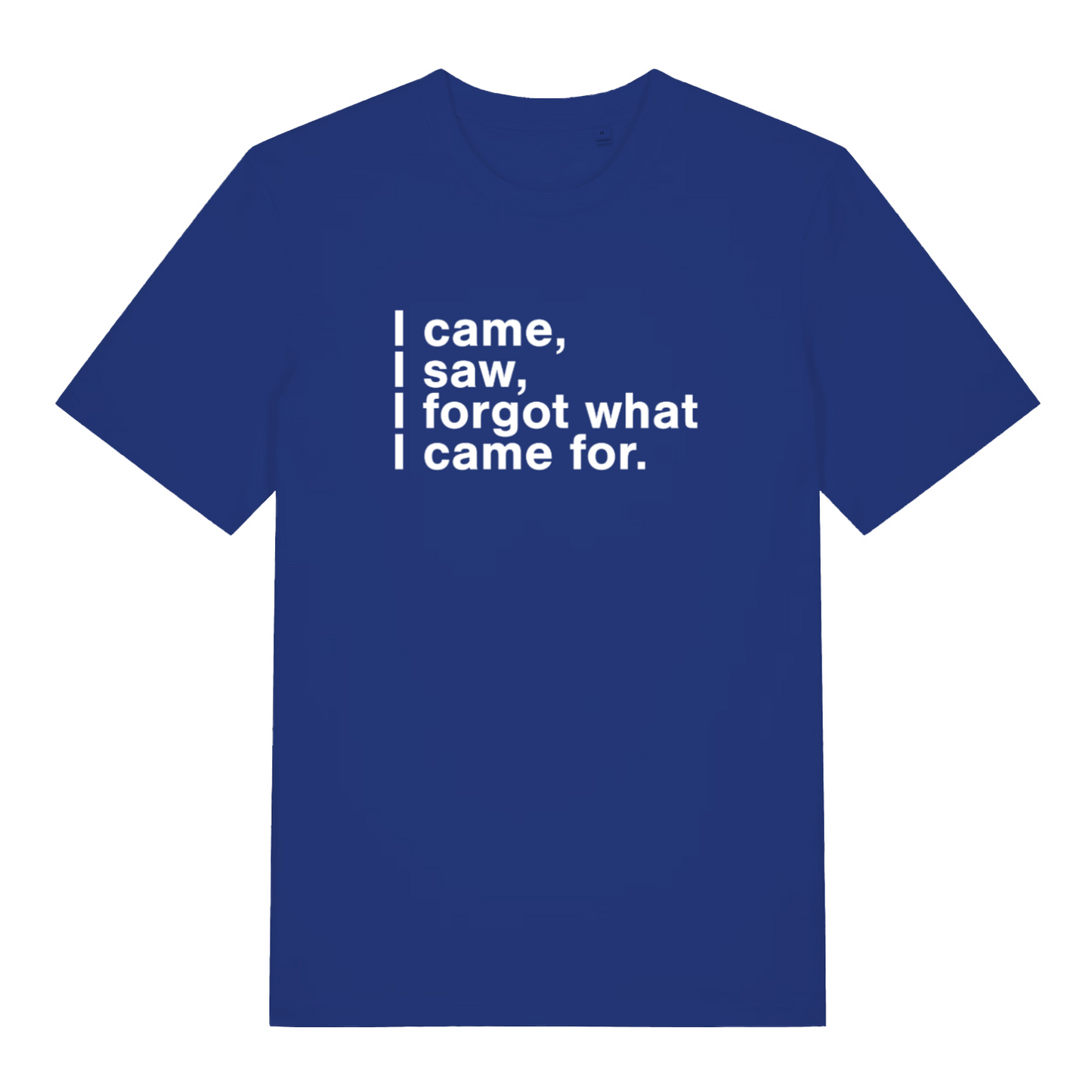 blue funny slogan t-shirt with the text 'i came, i saw, i forgot what i came for'