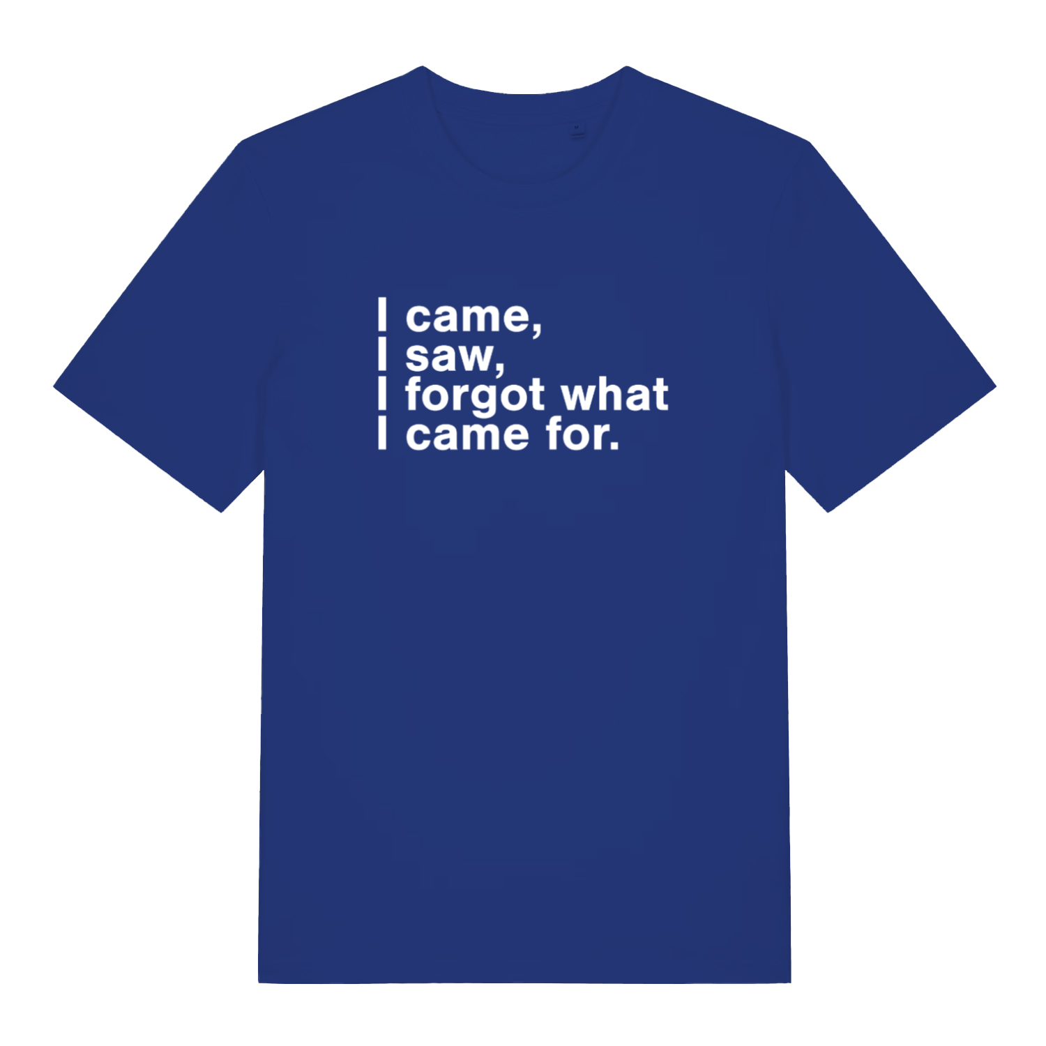 blue funny slogan t-shirt with the text 'i came, i saw, i forgot what i came for'