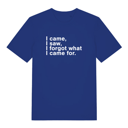 blue funny slogan t-shirt with the text 'i came, i saw, i forgot what i came for'