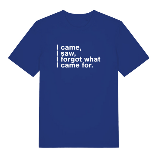 blue funny slogan t-shirt with the text 'i came, i saw, i forgot what i came for'