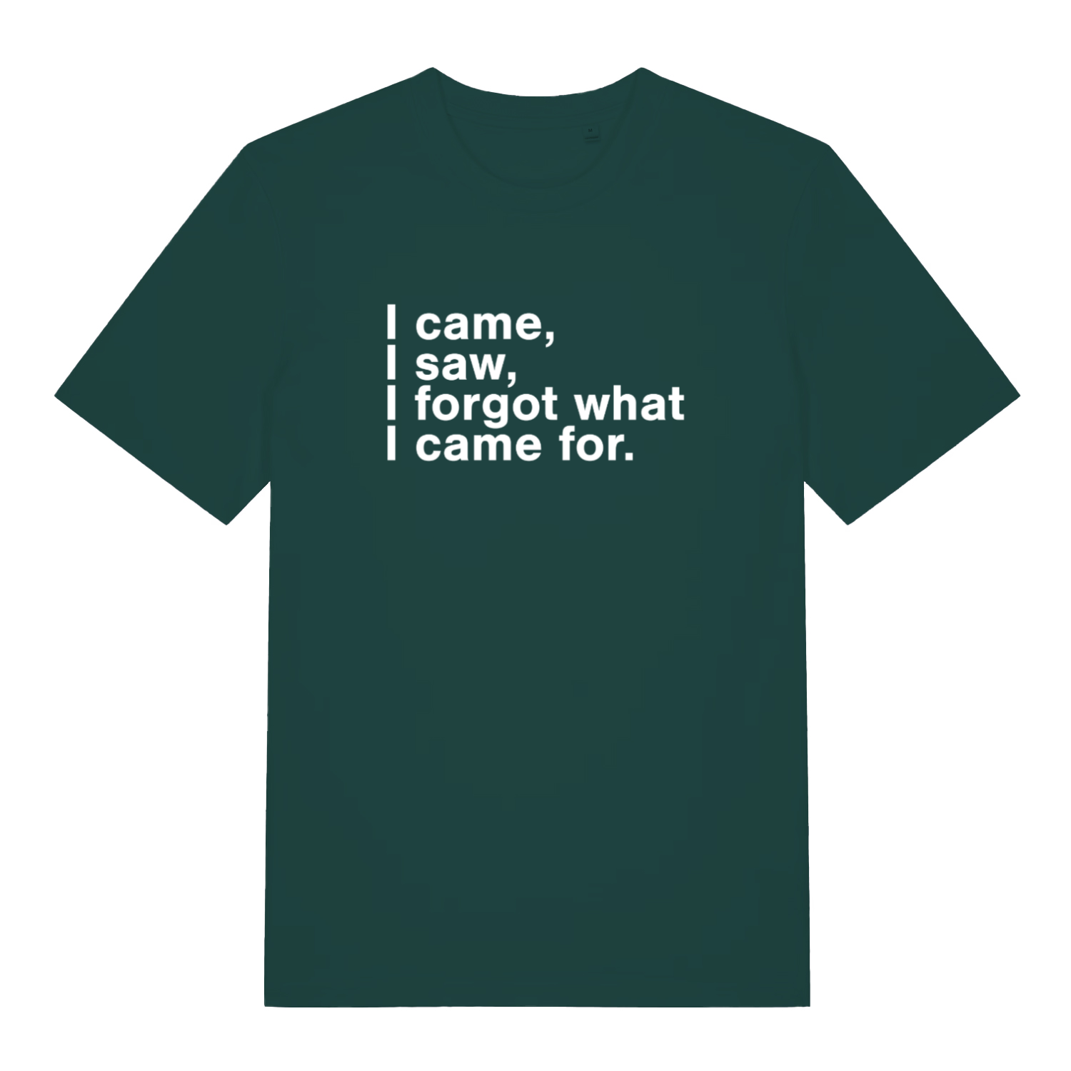green funny slogan t-shirt with the text 'i came, i saw, i forgot what i came for'