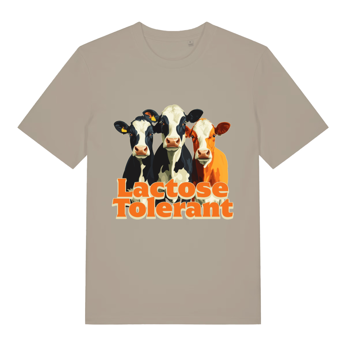 Beige Lactose Tolerant funny graphic t-shirt with three cows and bold orange “Lactose Tolerant” slogan  