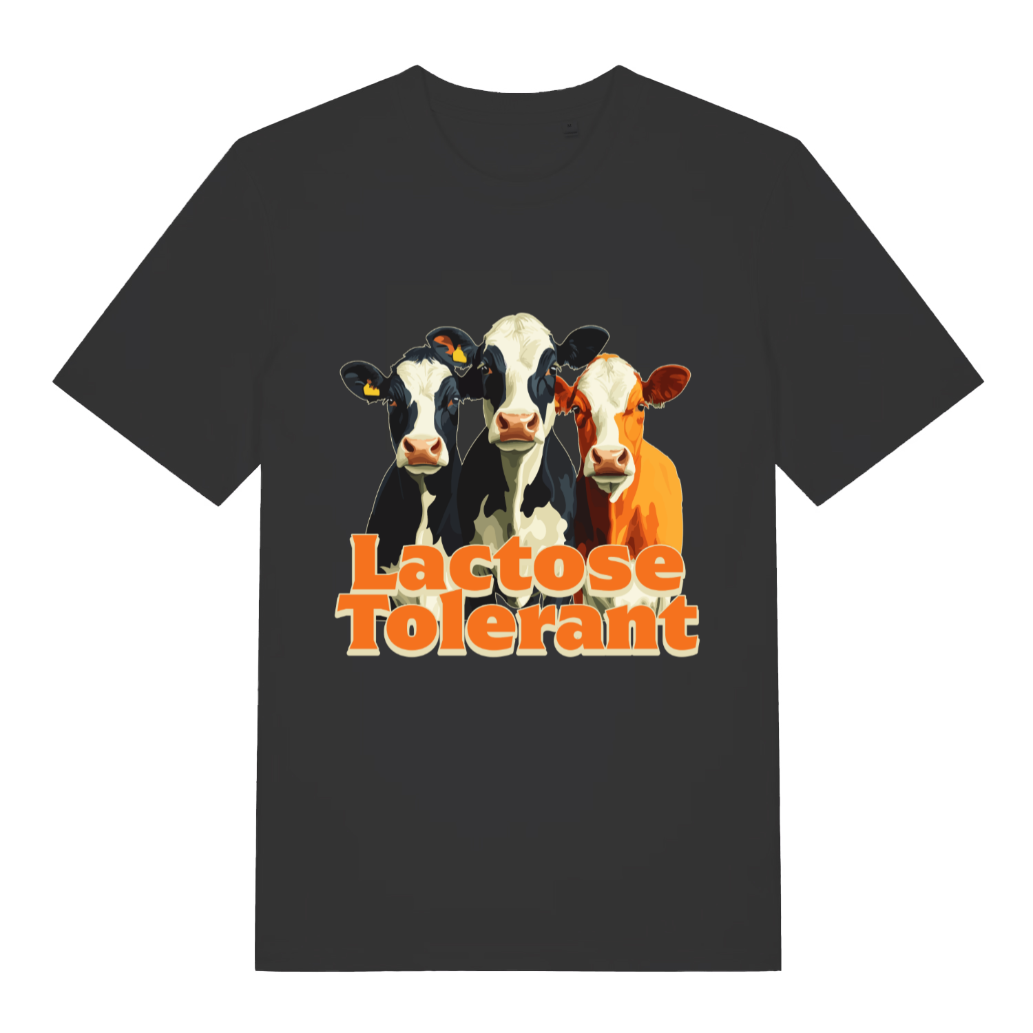 Black Lactose Tolerant funny graphic t-shirt featuring black and white and brown cows with “Lactose Tolerant” text  