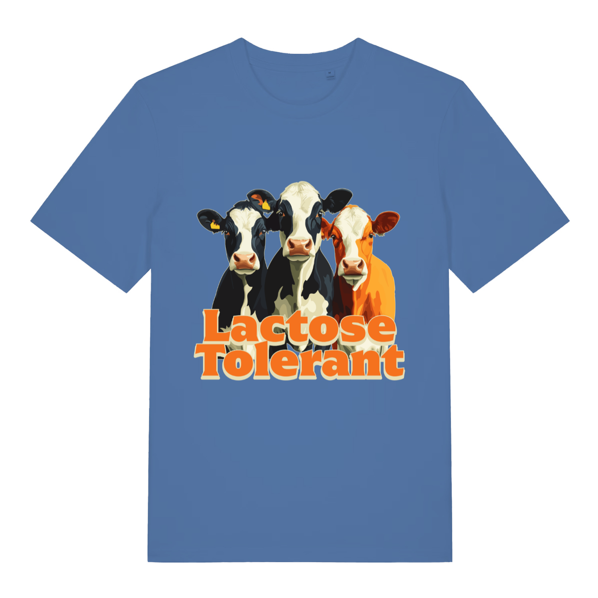 Blue Lactose Tolerant funny graphic t-shirt showing three cows and bold “Lactose Tolerant” lettering  