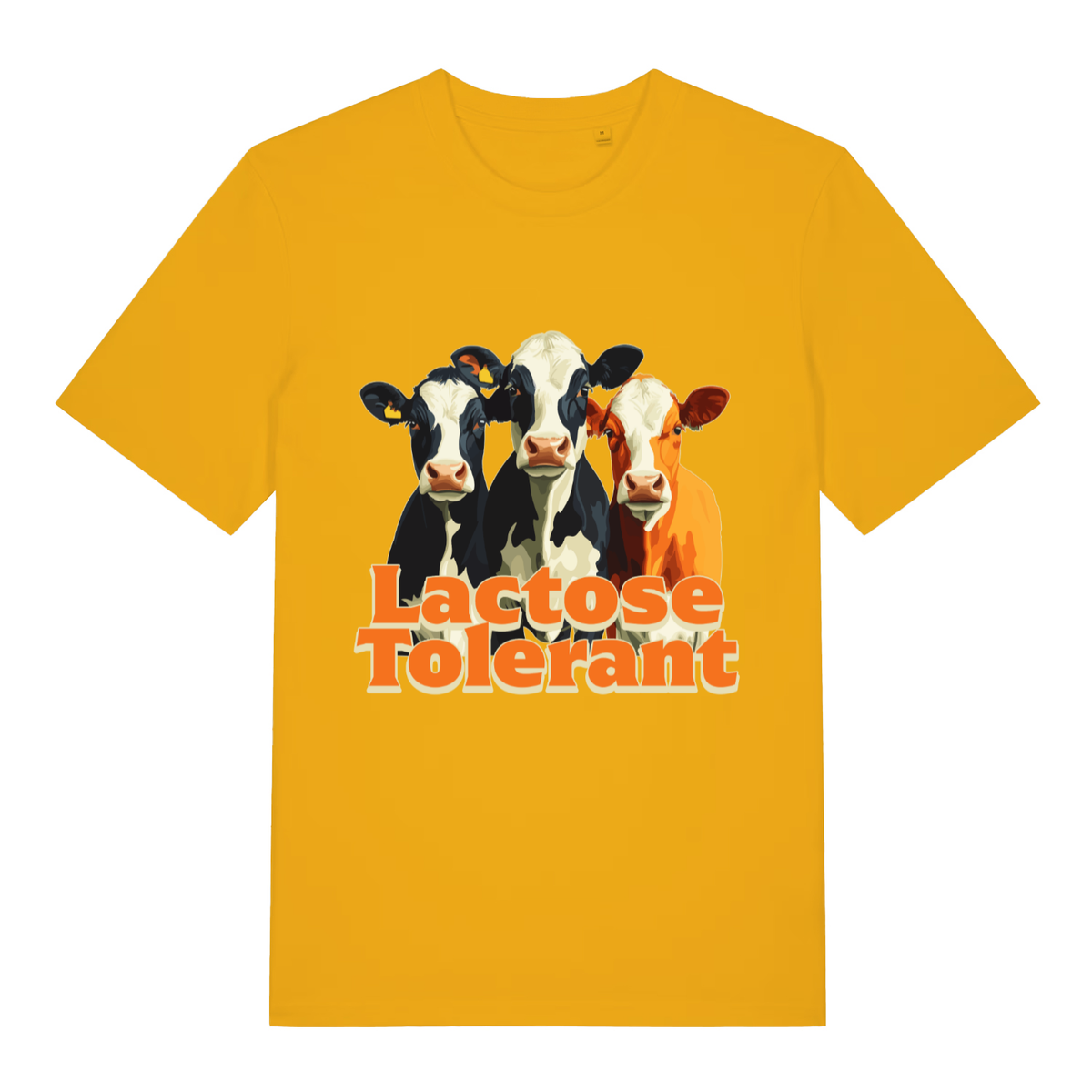 Yellow Lactose Tolerant funny graphic t-shirt featuring cows and sharp “Lactose Tolerant” lettering  