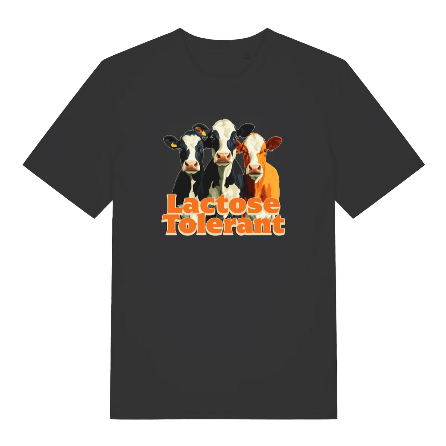 black funny animal t-shirt with the graphic of three cows and the slogan 'lactose tolerant'