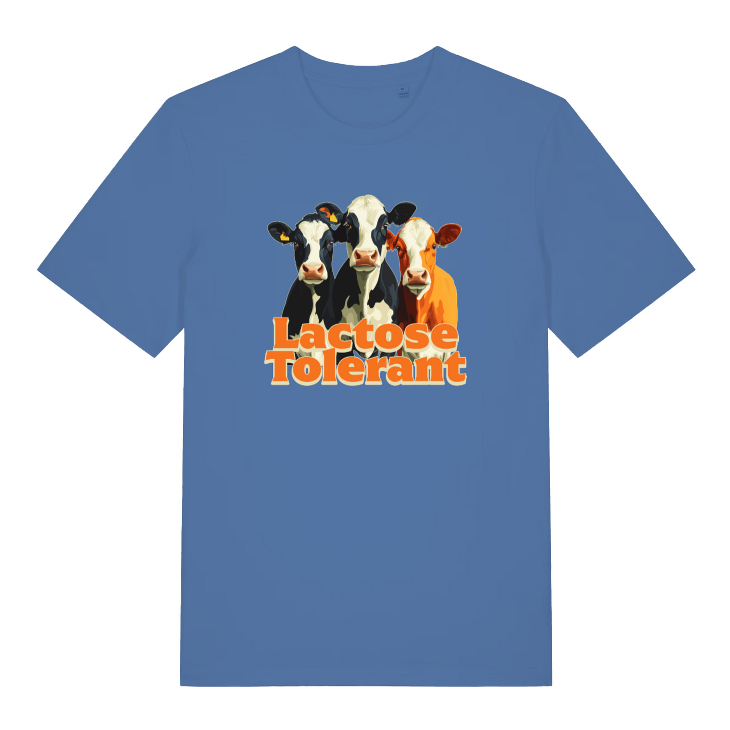 blue funny animal t-shirt with the graphic of three cows and the slogan 'lactose tolerant'