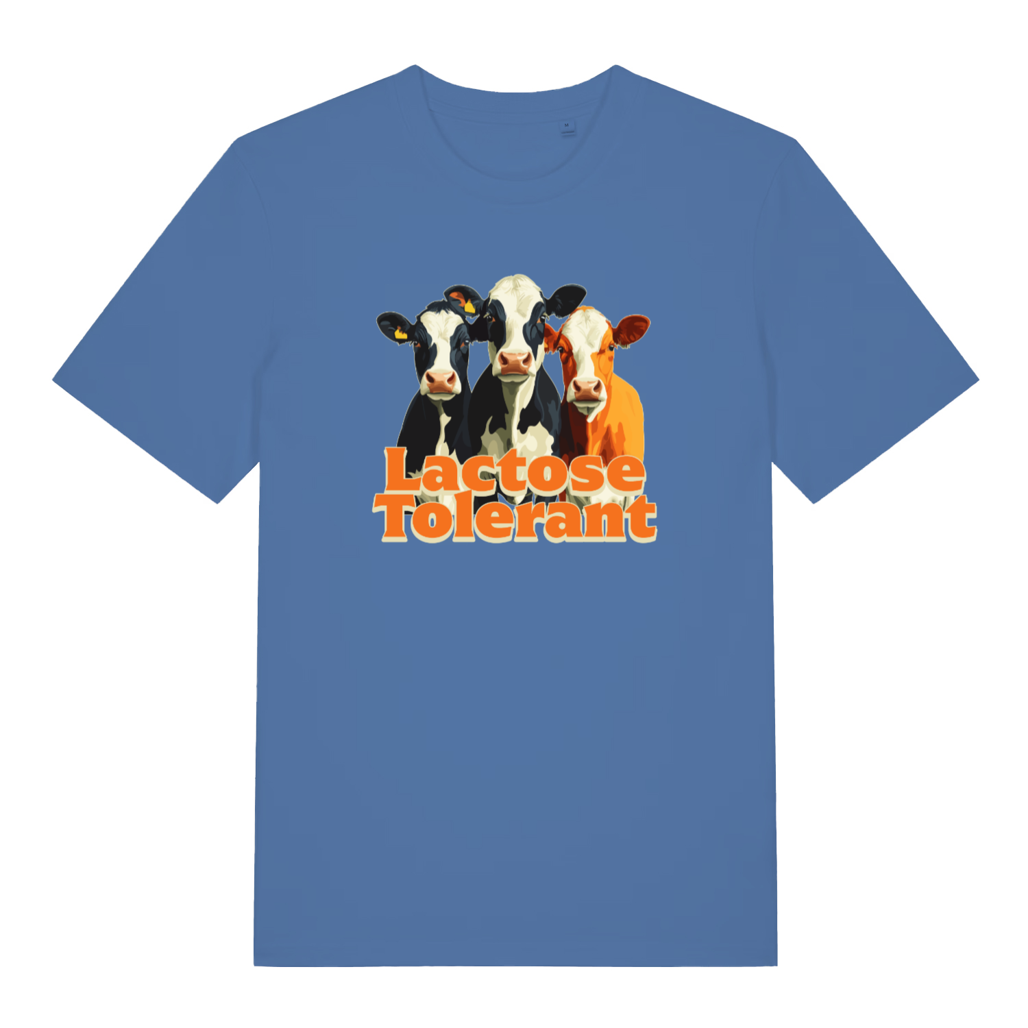 blue funny animal t-shirt with the graphic of three cows and the slogan 'lactose tolerant'