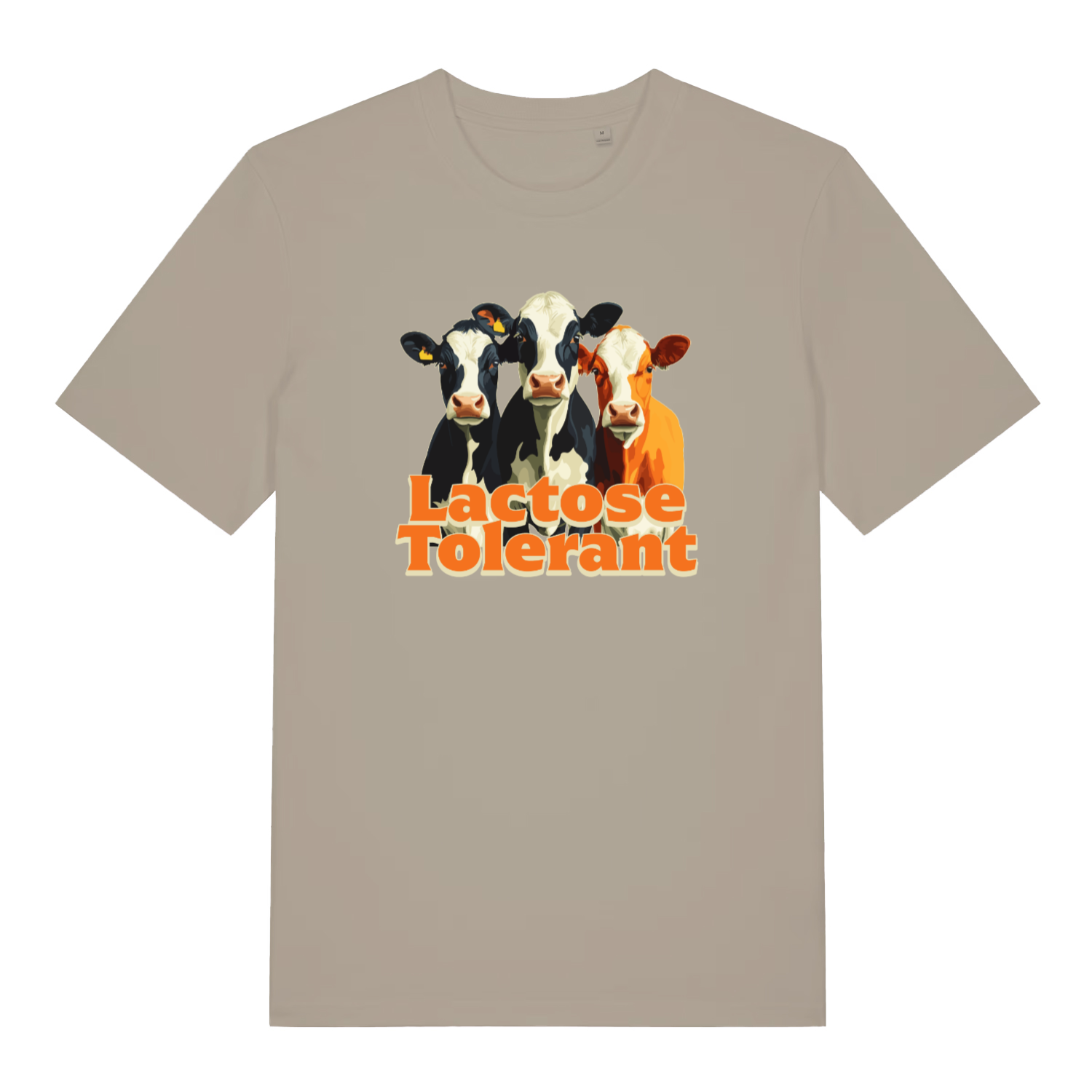 stone funny animal t-shirt with the graphic of three cows and the slogan 'lactose tolerant'