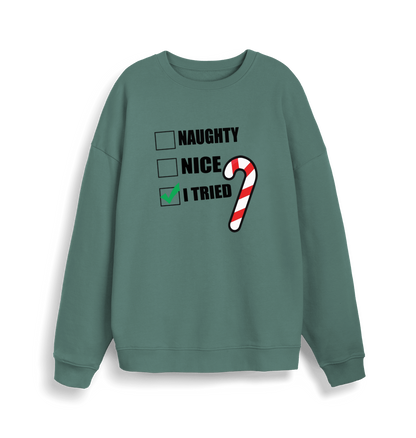 green christmas sweater with the slogan 'naughty nice i tried'