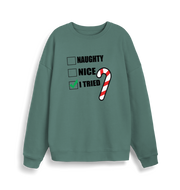 green christmas sweater with the slogan 'naughty nice i tried'
