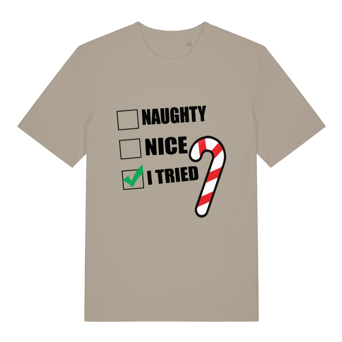 Beige Naughty Nice I Tried funny slogan t-shirt with checklist and candy cane  