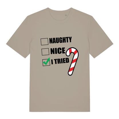 Beige Naughty Nice I Tried funny slogan t-shirt with checklist and candy cane  