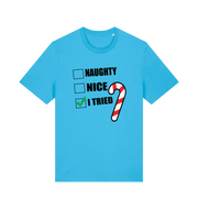 blue christmas t-shirt with the slogan 'naughty nice i tried'