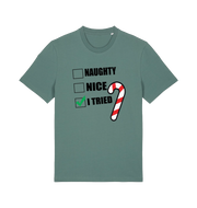 green christmas t-shirt with the slogan 'naughty nice i tried'