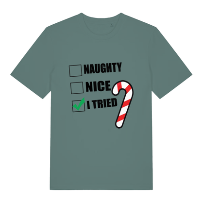 Green Naughty Nice I Tried funny slogan t-shirt featuring Christmas naughty list parody  