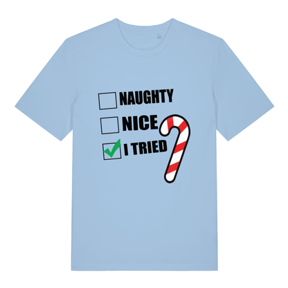 Light blue Naughty Nice I Tried funny slogan t-shirt with bold lettering and candy cane  