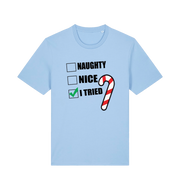 light blue christmas t-shirt with the slogan 'naughty nice i tried'