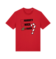 red christmas t-shirt with the slogan 'naughty nice i tried'