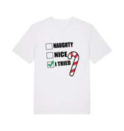 white christmas t-shirt with the slogan 'naughty nice i tried'
