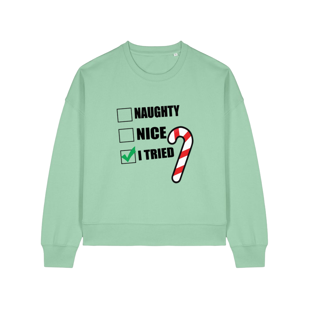 mint green christmas sweater with the slogan 'naughty nice i tried'
