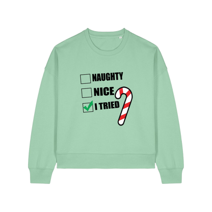 mint green christmas sweater with the slogan 'naughty nice i tried'