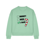mint green christmas sweater with the slogan 'naughty nice i tried'