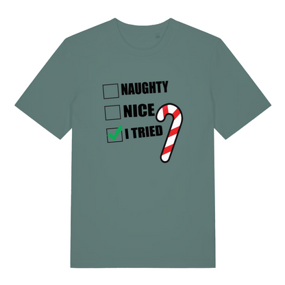 green christmas t-shirt with the graphic of a candy cane and the words 'naughty, nice, i tried'