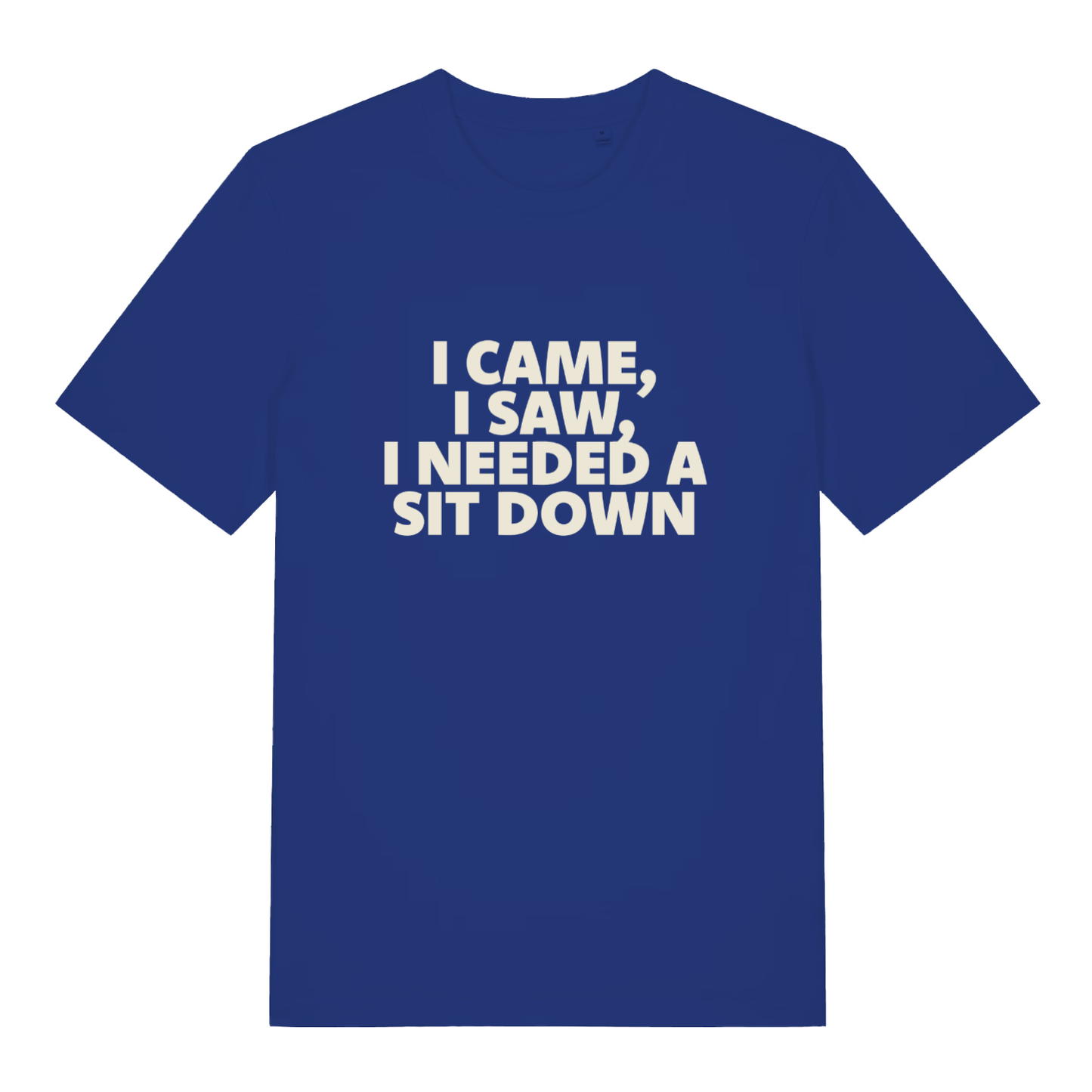 Blue I Came I Saw I Needed A Sit Down funny slogan t-shirt featuring exhausted adult banter  