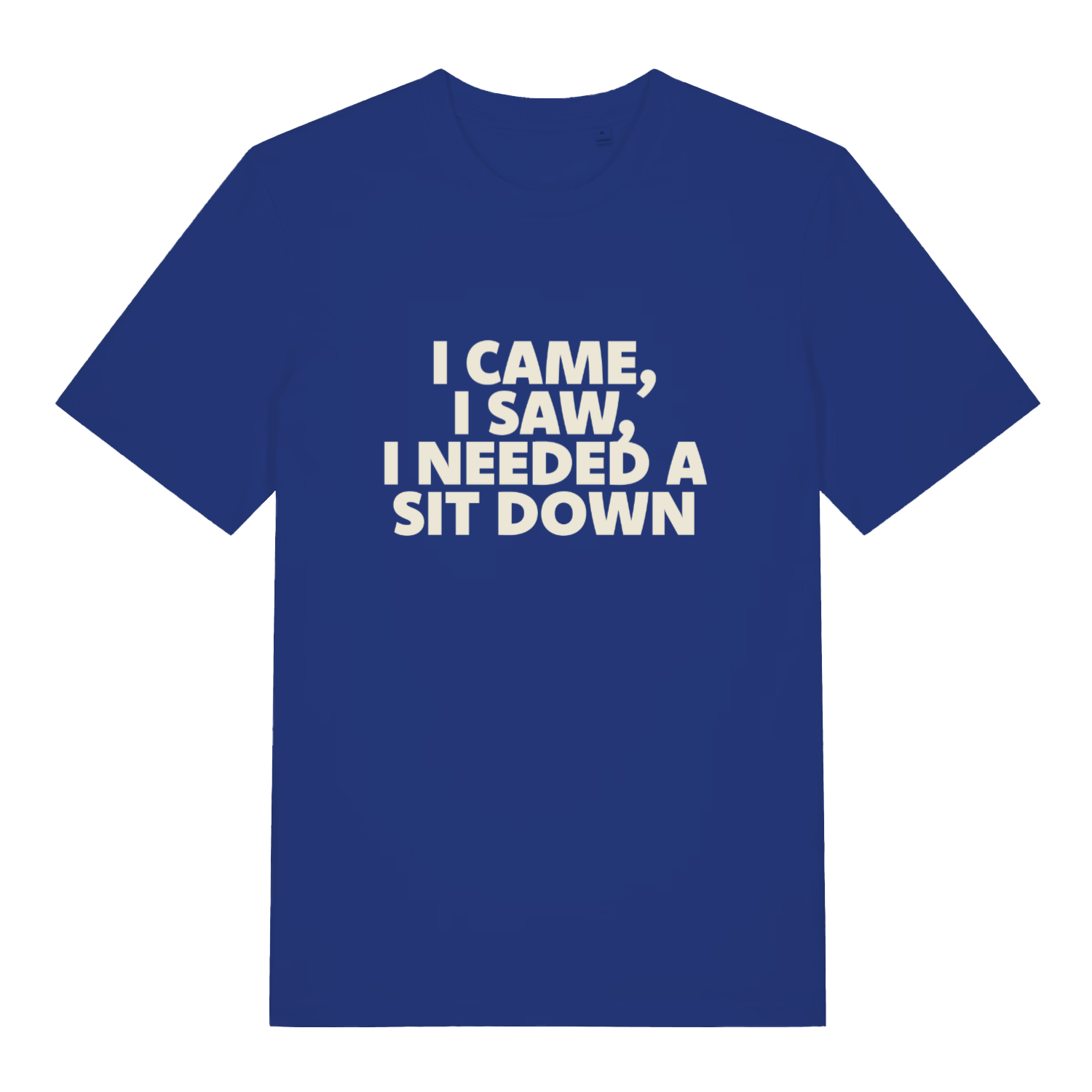 Blue I Came I Saw I Needed A Sit Down funny slogan t-shirt featuring exhausted adult banter  