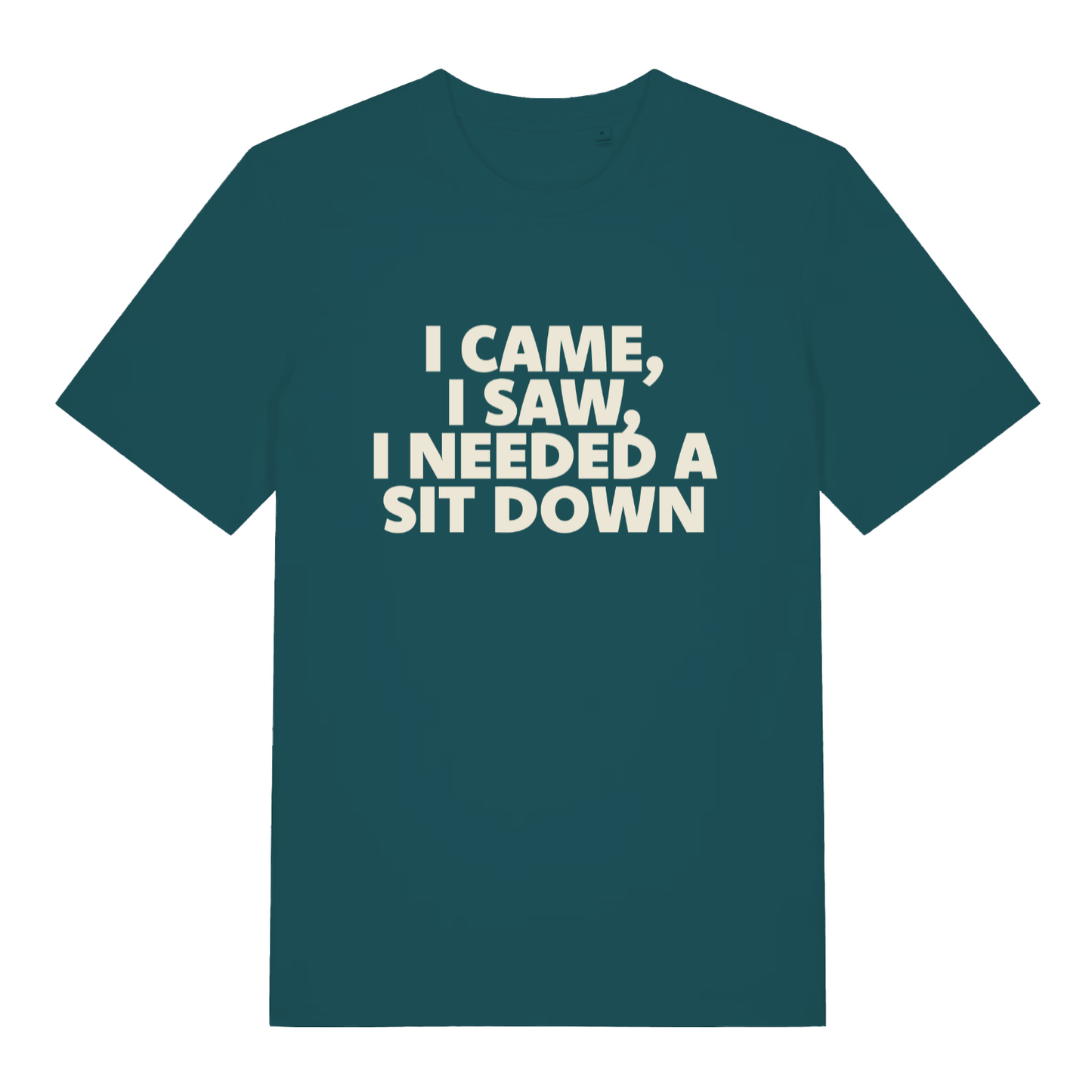 Teal I Came I Saw I Needed A Sit Down funny slogan t-shirt with witty sit down text  