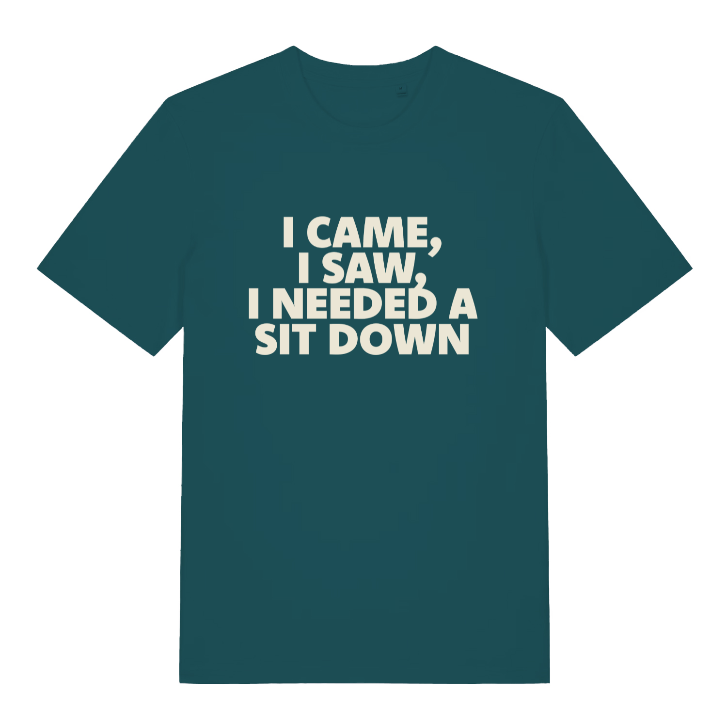 Teal I Came I Saw I Needed A Sit Down funny slogan t-shirt with witty sit down text  