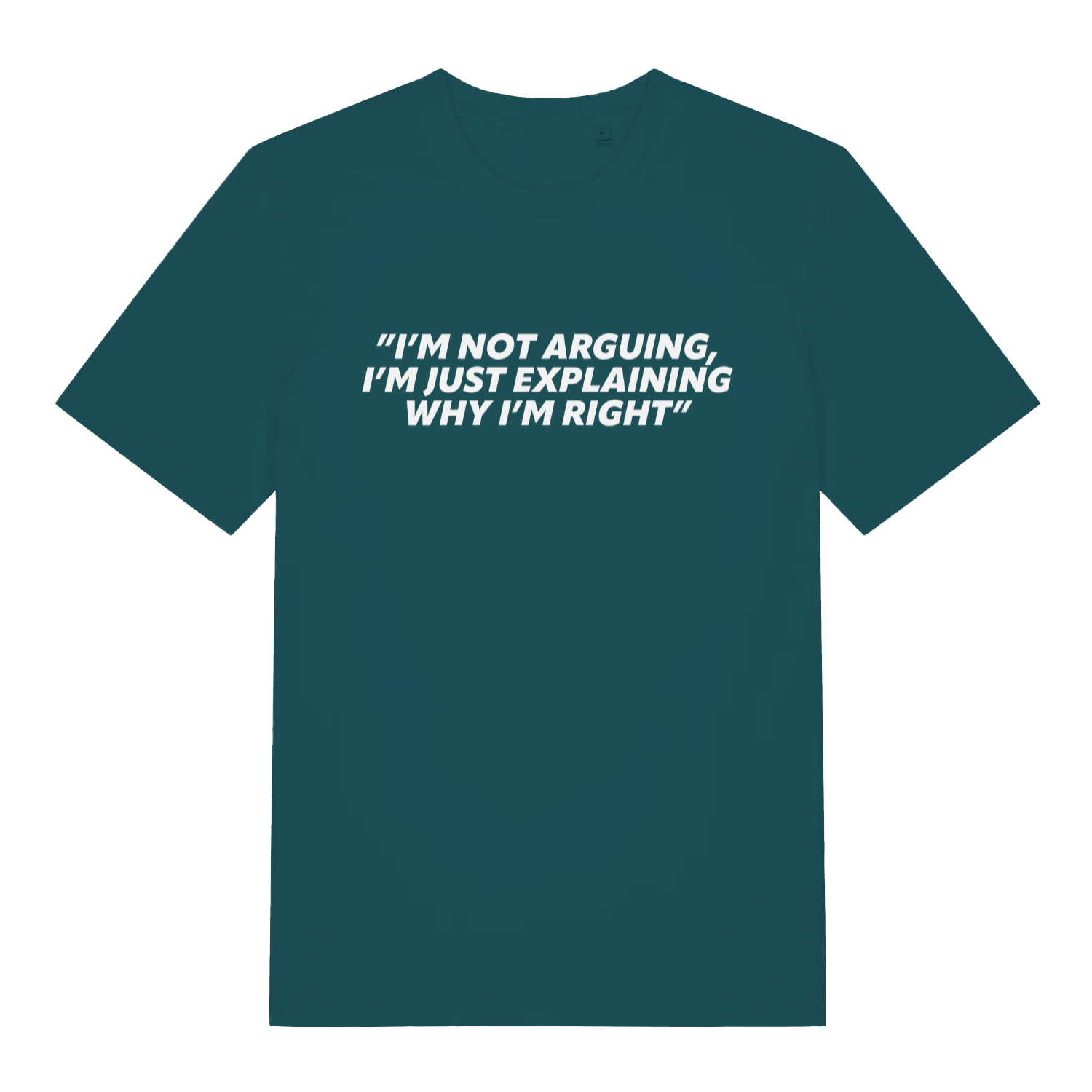 Teal I’m Not Arguing I’m Just Explaining Why I’m Right funny slogan t-shirt showing witty explaining text  