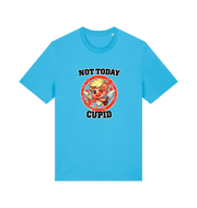 blue funny graphic t-shirt with a cartoon graphic of cupid and the slogan 'not today cupid'